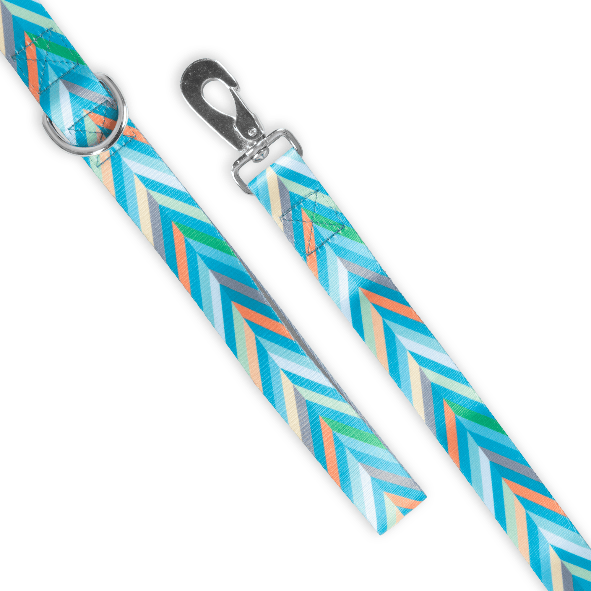 multi color dog leash close up